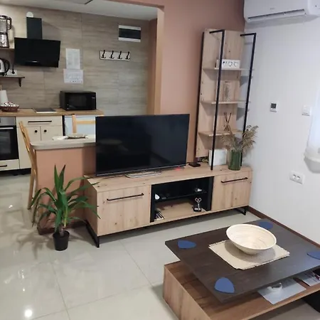 Sladjana نوفي ساد