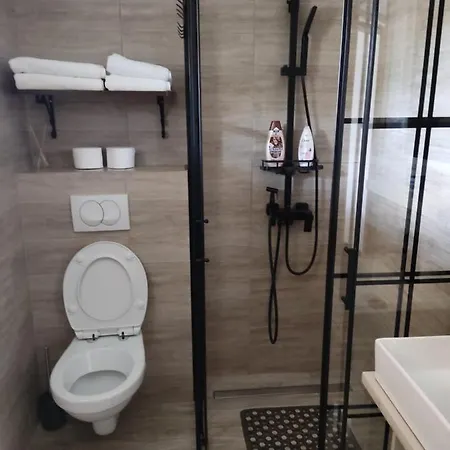 Sladjana Apartment Novi Sad