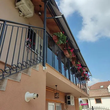 Sladjana نوفي ساد