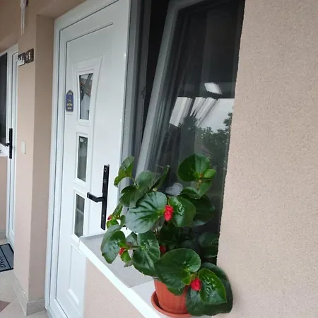 Sladjana Apartment Novi Sad