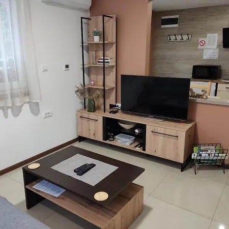 Sladjana Apartment *