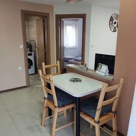 Apartment Sladjana Novi Sad